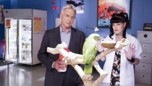 NCIS: 14×3