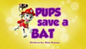 PAW Patrol: 1×37