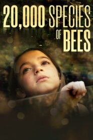 20,000 Species of Bees