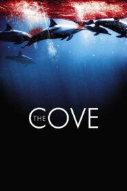 The Cove