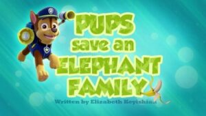 PAW Patrol: 2×29