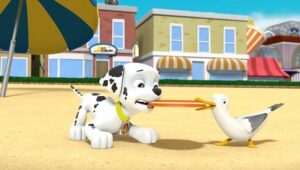 PAW Patrol: 3×41