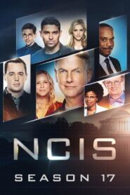 NCIS: Season 17