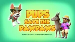 PAW Patrol: 5×21