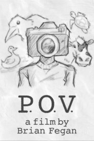 P.O.V.