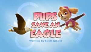 PAW Patrol: 2×45