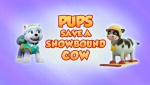 PAW Patrol: 8×2